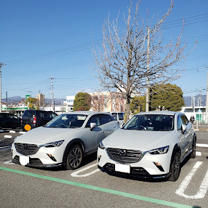 CX-3 DKLAW