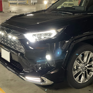 RAV4 AXAP54