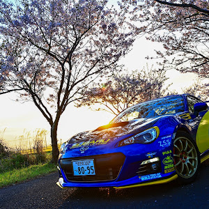 BRZ ZC6