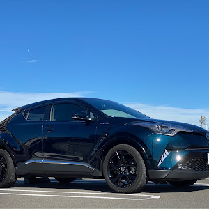 C-HR ZYX10