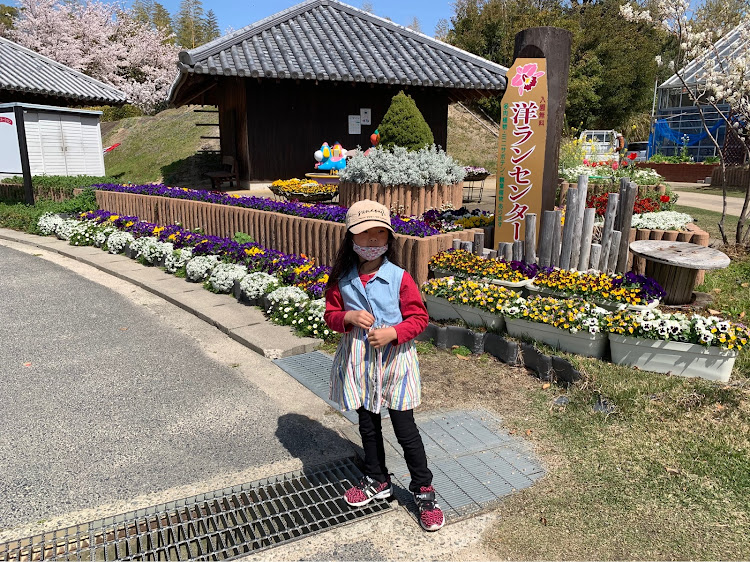 ロードスターの桜・菜の花・鯉のぼり・孫もりミッション・チャイルドシートに関するカスタム事例の投稿画像15枚目