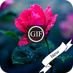 Cover Image of Unduh 早上好 - Good Morning 1.4 APK