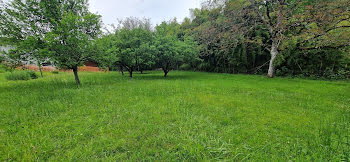 terrain à Alby-sur-Chéran (74)