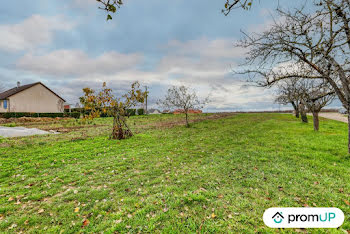 terrain à Magny-sur-Tille (21)