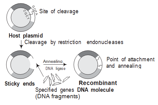 Solution Image