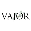 Vajor, Ambience Mall, Vasant Kunj, New Delhi logo