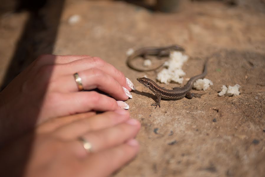 Fotógrafo de bodas Olga Podkolzina (dar-a-eva). Foto del 1 de octubre 2014