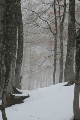 Su le soglie del bosco di SimonaCaroselli