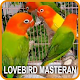 Download LoveBird Masteran For PC Windows and Mac