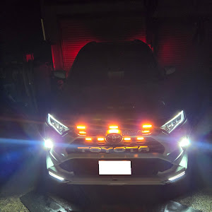 RAV4 MXAA54