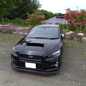 WRX S4 VAG