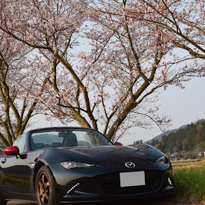 ロードスター ND型