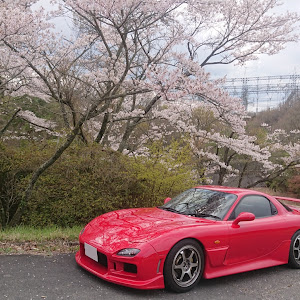 RX-7 FD3S 中期