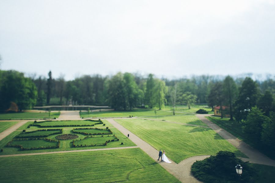 Photographe de mariage Evgeniy Shamshura (evgeniishamshur). Photo du 26 mai 2014