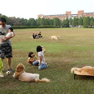 星記香港茶餐廳