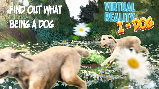 Virtual Reality I - Dog