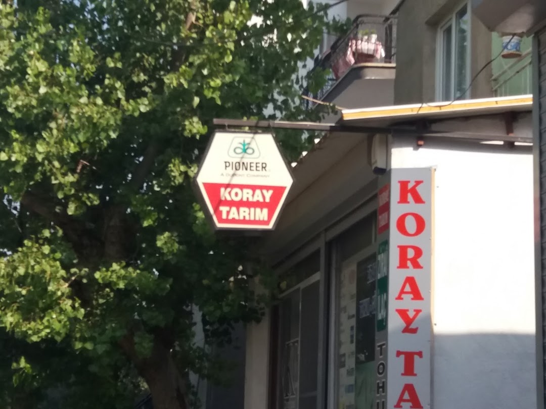 Koray Tarm