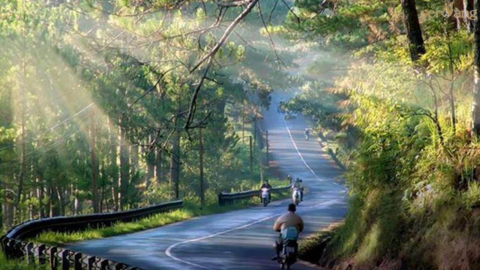 Quy hoạch 