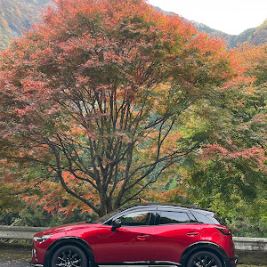 CX-3 DK8AW