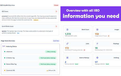 SEO Action Plan - Page Analysis SEO Extension screenshot 1