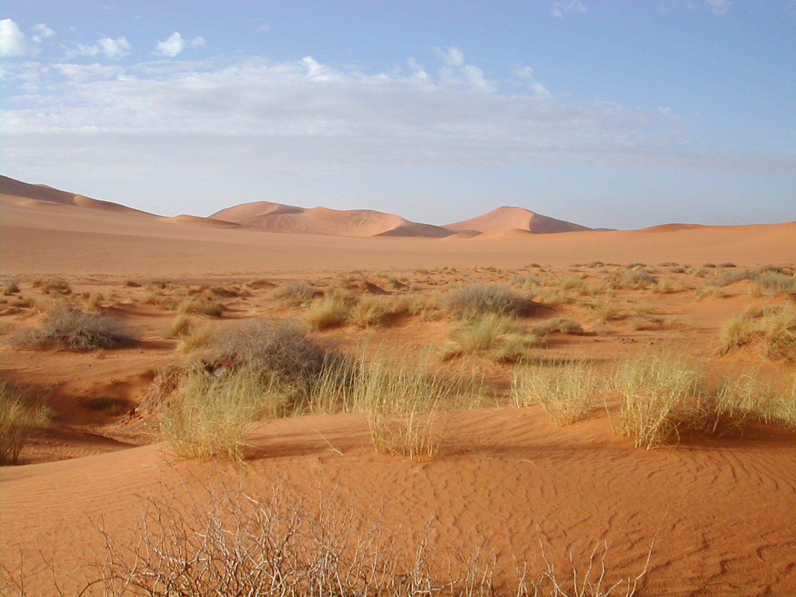 Desierto de Atacama, Chile.