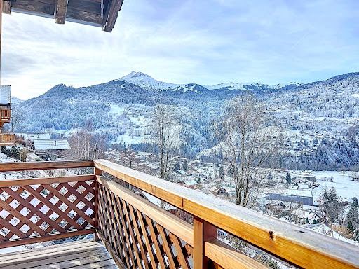 Chalet with terrace 3