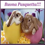 Cover Image of Download Buona Pasqua 1.0 APK