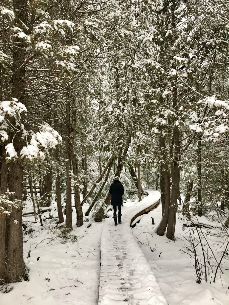 winter hiking southern ontario