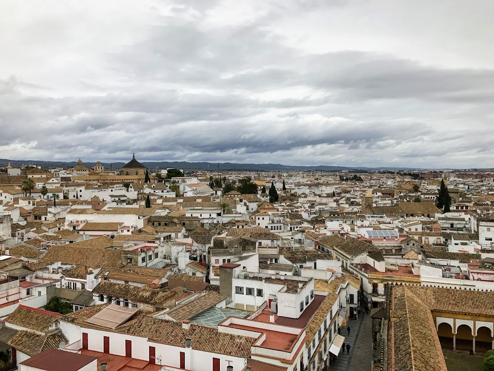 Весна в подарок (Мадрид, Андалусия, март 2018 года на общественном транспорте)