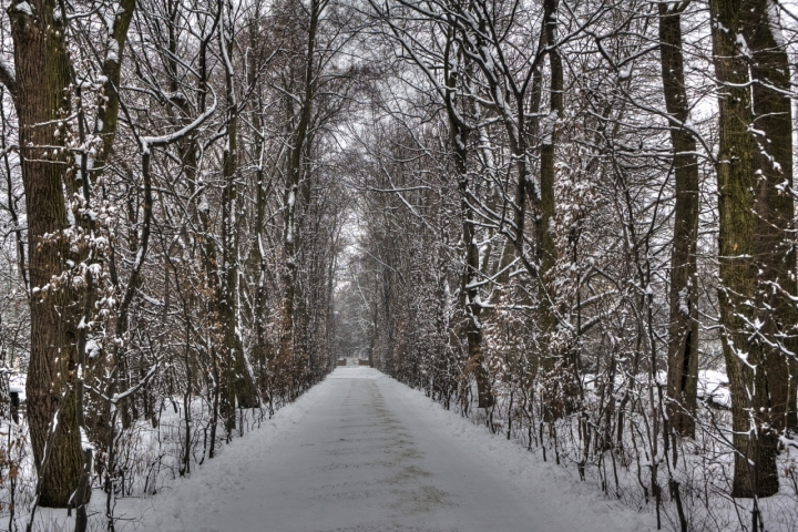 Inverno di decazuc