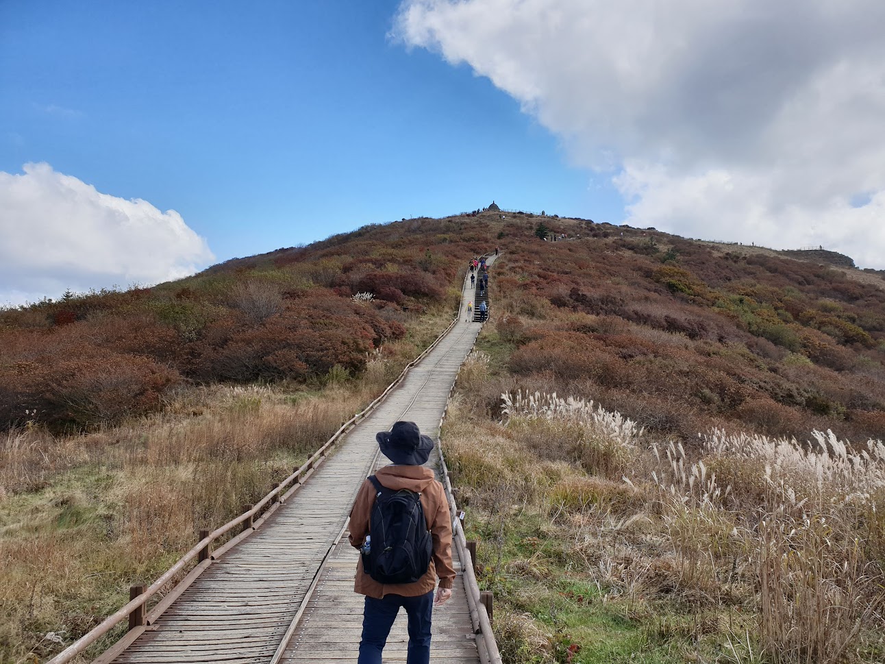 지리산 노고단 하이킹 (성삼재 휴게소 → 노고단 휴게소 → 노고단)