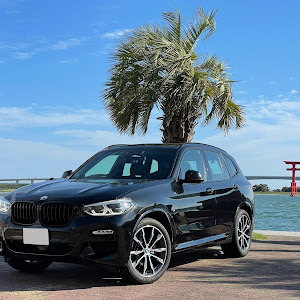 X3 xDrive 20d