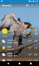 Alexandria Eg Weather Forecast And More 8 Apk Android Apps