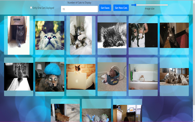Cat Mewseum chrome extension