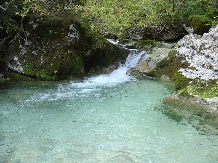 La Sorgente limpida delle Dolomiti di gabibboblu