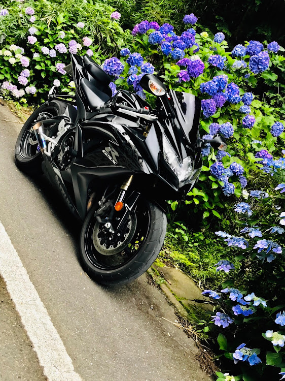 その他の峠・紫陽花・GSX-R600・sixxxer・鈴菌に関するカスタム事例の投稿画像1枚目
