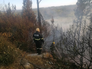 Throughout the afternoon on Sunday, two bomber planes and a helicopter water-bombed the fire in Plettenberg Bay. 