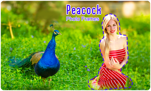 Screenshot Peacock Photo Frames