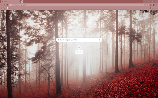 Misty Fall Forest Wallpaper Theme Preview 1