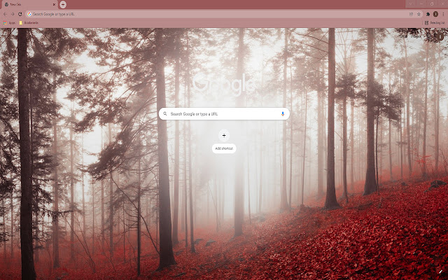 Misty Fall Forest Wallpaper Theme chrome extension