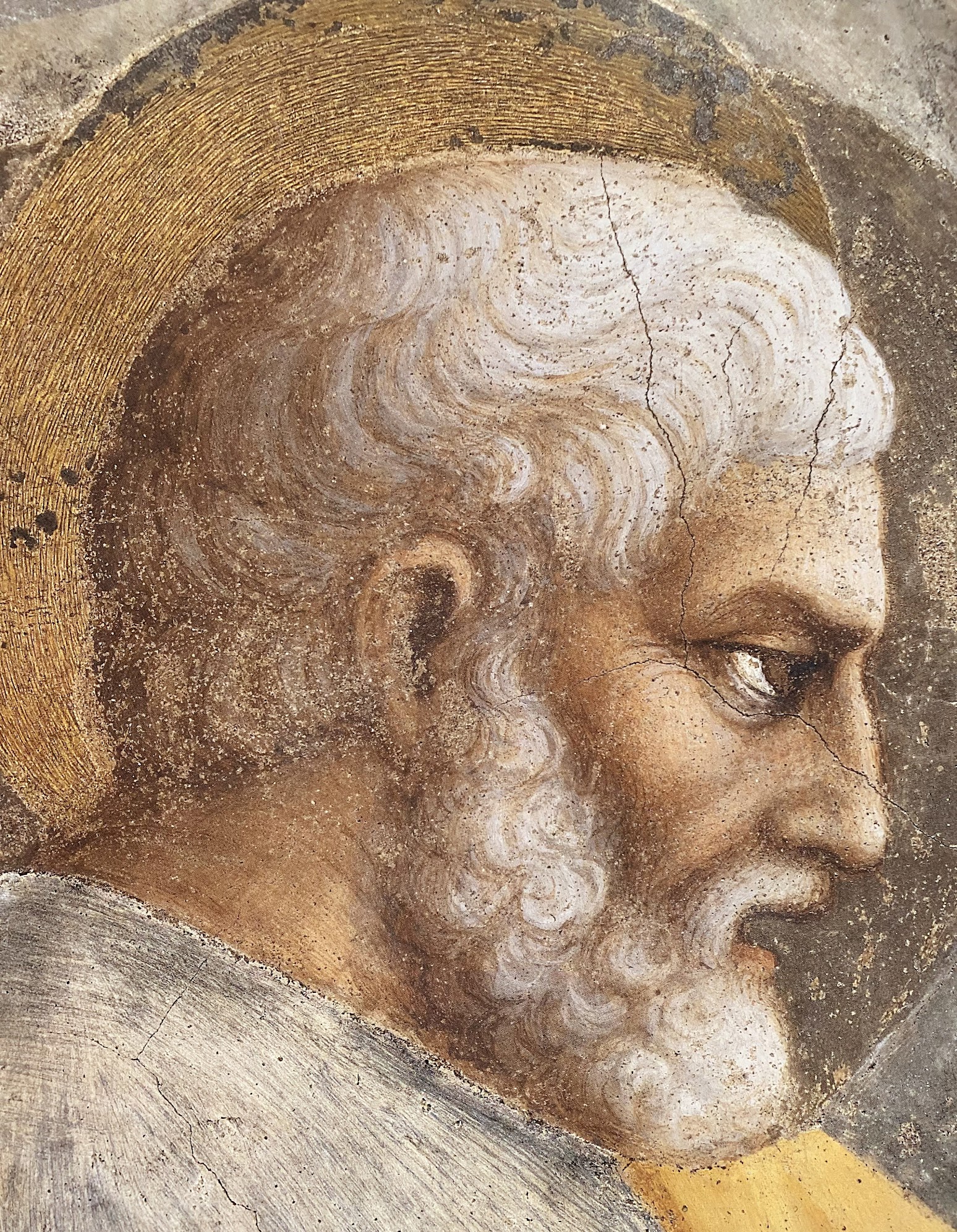 Masolino, La predica di San Pietro (particolare di San Pietro), affresco nella Cappella Brancacci, Santa Maria del Carmine, Firenze