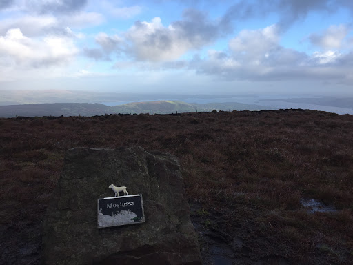 Moylussa Summit Stone