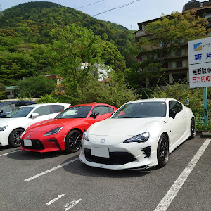 86 ZN6