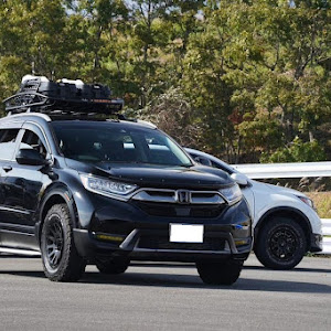 CR-V RW1