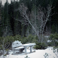 un angolo per una pausa zen di 