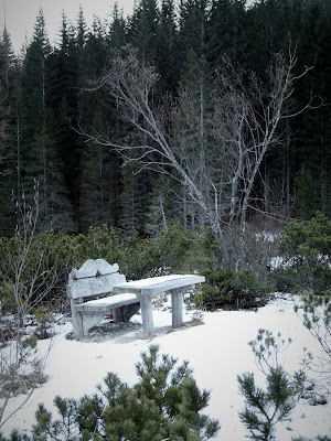 un angolo per una pausa zen di albelele