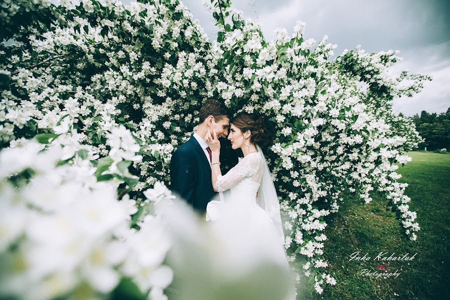 Wedding photographer Inga Kagarlyk (ingalisova). Photo of 26 July 2016