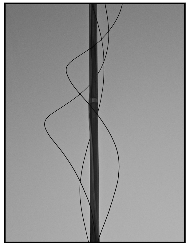 Dancing Wires di ziki