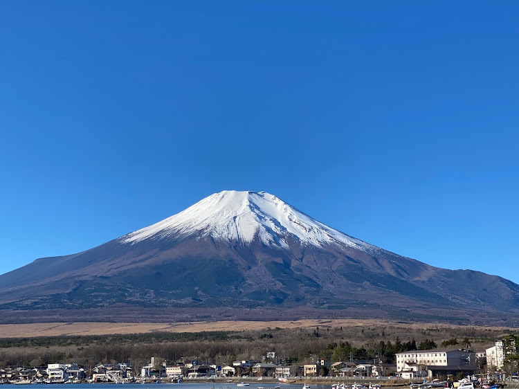 の投稿画像4枚目