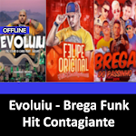 Cover Image of Download Evoluiu : Hit Contagiante ~ Brega Funk 1.6 APK